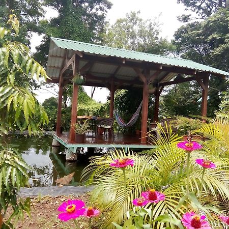 Greenhouse Loft Miravalles Aguas Claras  المظهر الخارجي الصورة