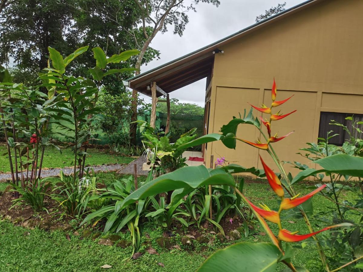 Greenhouse Loft Miravalles Aguas Claras  المظهر الخارجي الصورة