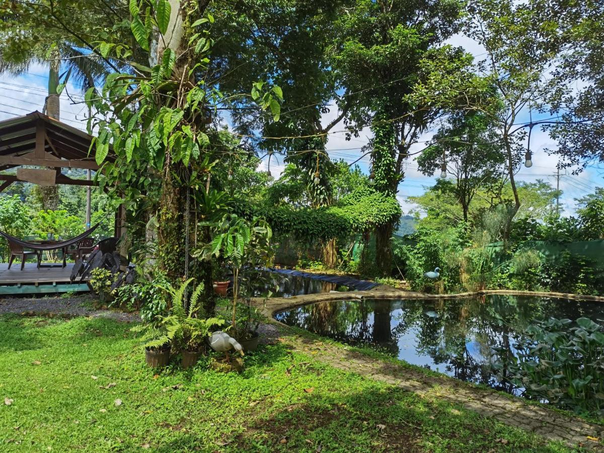Greenhouse Loft Miravalles Aguas Claras  المظهر الخارجي الصورة