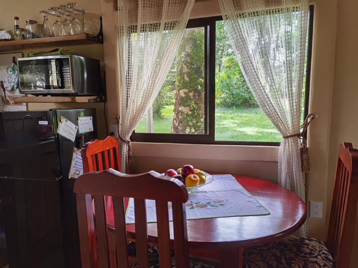 Greenhouse Loft Miravalles Aguas Claras  المظهر الخارجي الصورة