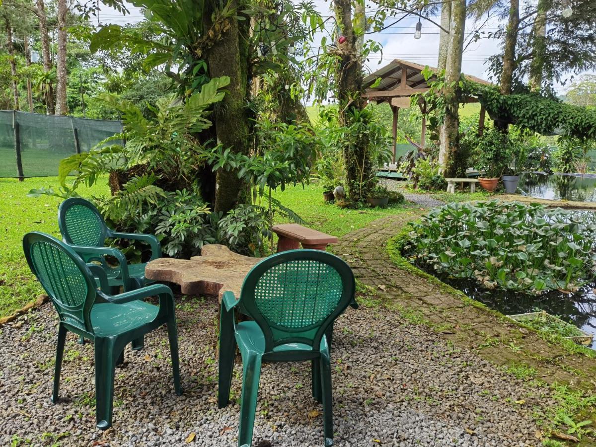 Greenhouse Loft Miravalles Aguas Claras  المظهر الخارجي الصورة