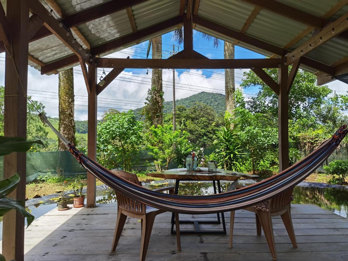 Greenhouse Loft Miravalles Aguas Claras  المظهر الخارجي الصورة