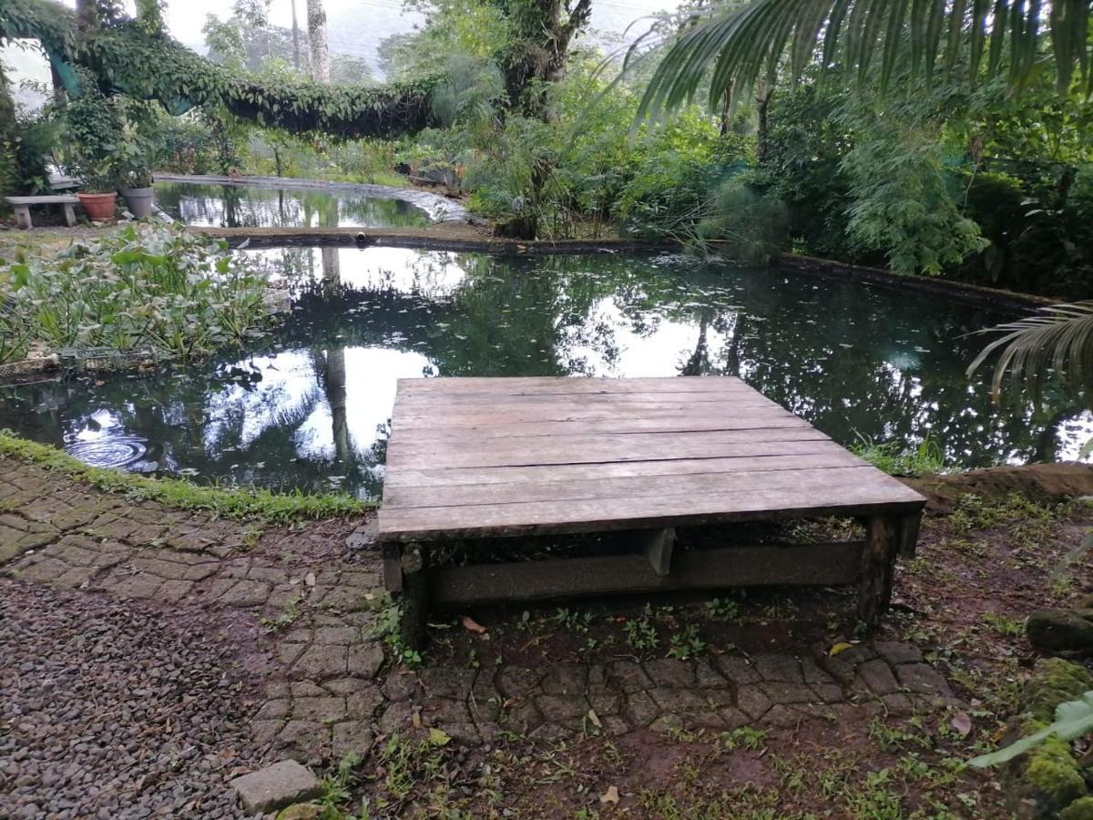 Greenhouse Loft Miravalles Aguas Claras  المظهر الخارجي الصورة