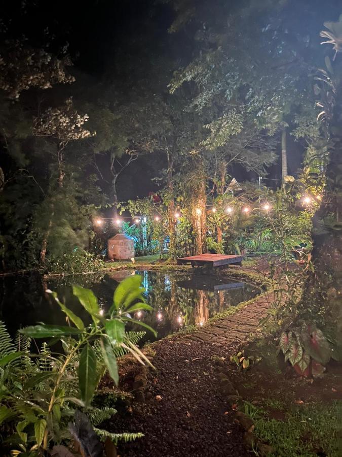 Greenhouse Loft Miravalles Aguas Claras  المظهر الخارجي الصورة
