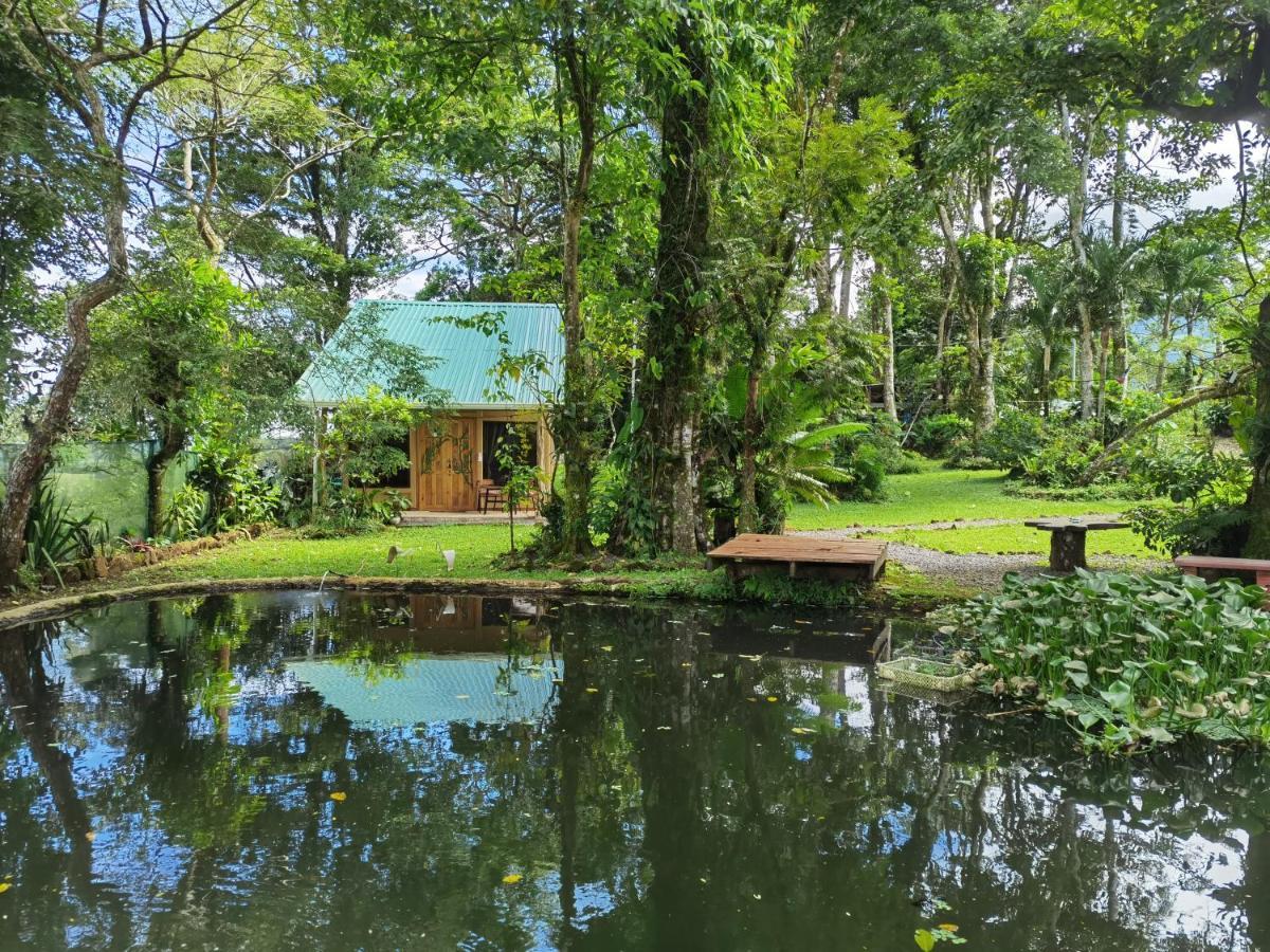 Greenhouse Loft Miravalles Aguas Claras  المظهر الخارجي الصورة