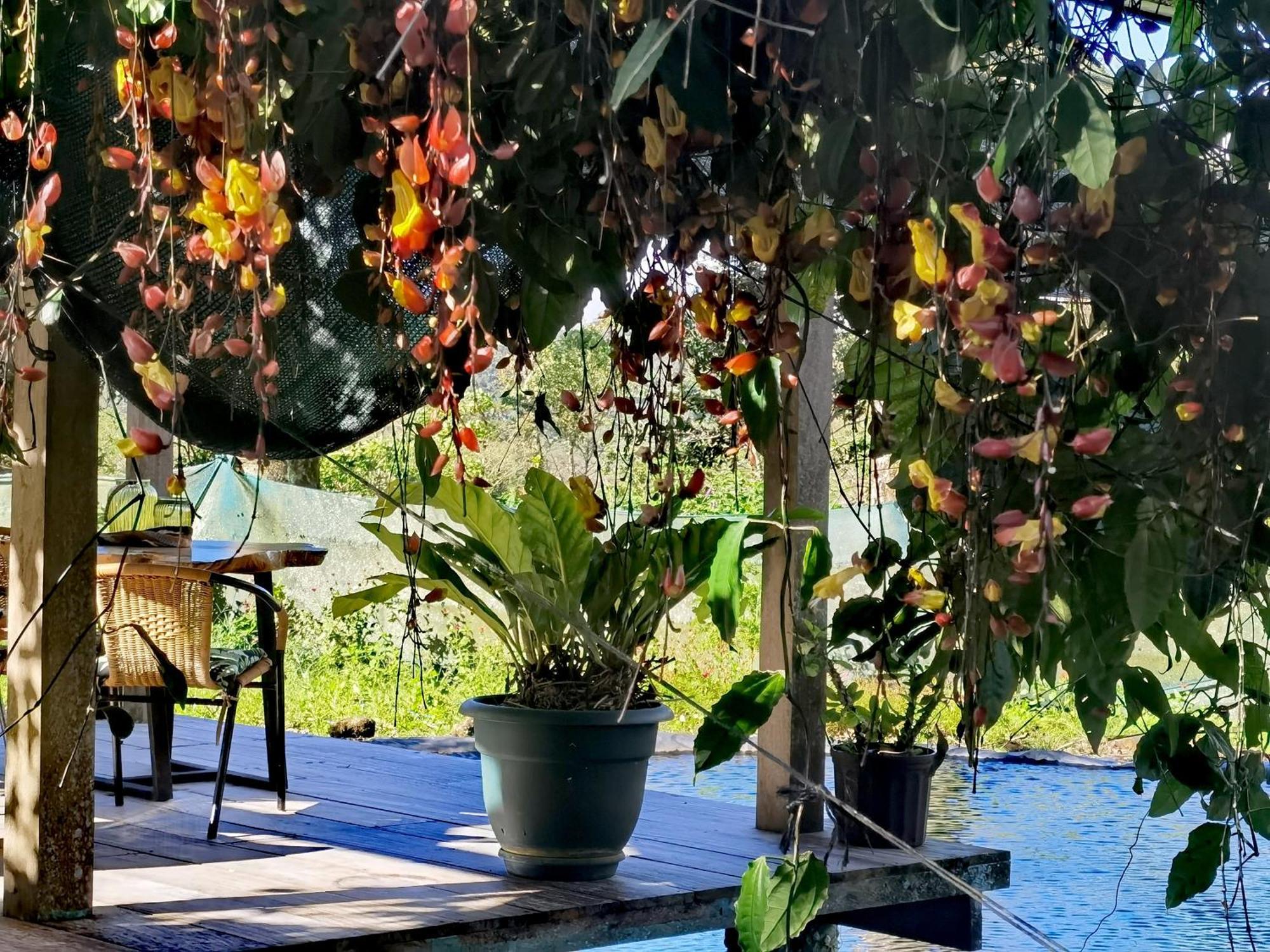 Greenhouse Loft Miravalles Aguas Claras  المظهر الخارجي الصورة