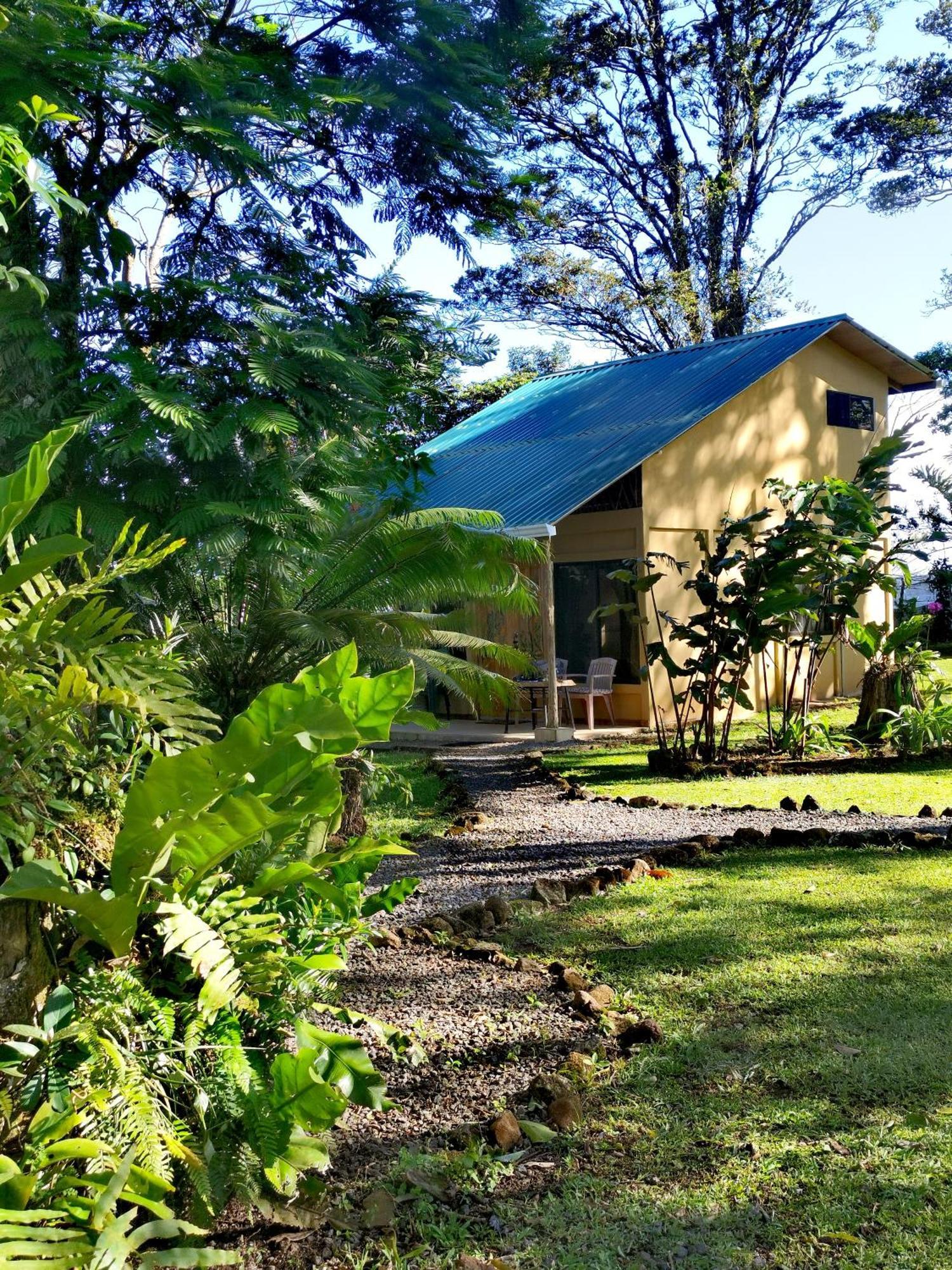Greenhouse Loft Miravalles Aguas Claras  المظهر الخارجي الصورة