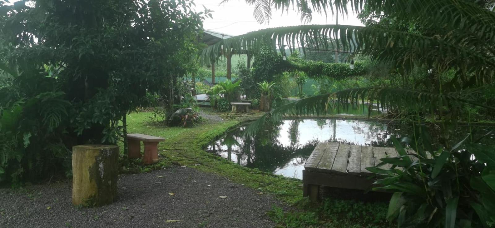 Greenhouse Loft Miravalles Aguas Claras  المظهر الخارجي الصورة