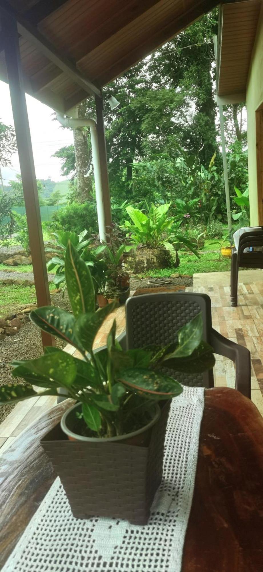 Greenhouse Loft Miravalles Aguas Claras  المظهر الخارجي الصورة