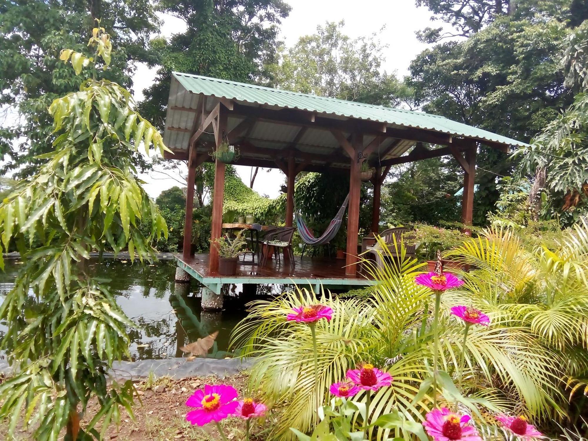 Greenhouse Loft Miravalles Aguas Claras  المظهر الخارجي الصورة